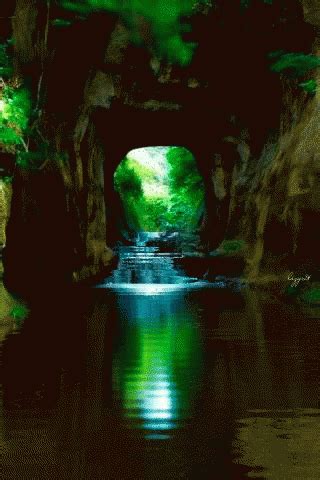 Wallpaper Cave GIF