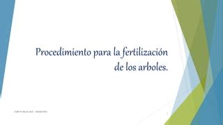 Procedimiento Para La Fertilizaci N De Los Arboles Ppt