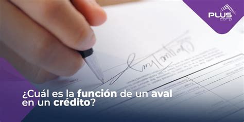 Cu L Es La Funci N De Un Aval En Un Cr Dito Pluscorp