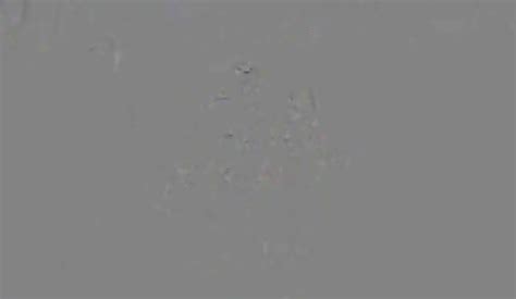 Amateur Girl Getd Naked For Pizza Delivery