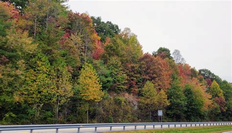 2023 WNC Fall Foliage (Blowing Rock: arboretum, best, trees) - Western ...