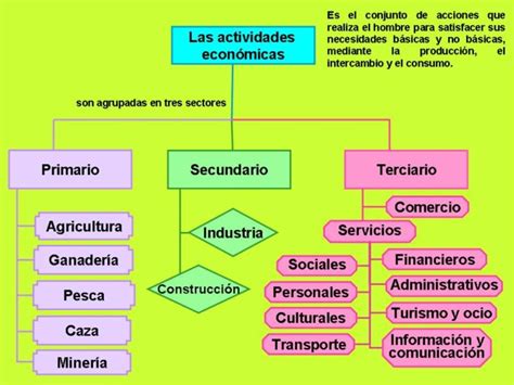 Cuadros Sinópticos Y Mapas Conceptuales De Actividades Economicas