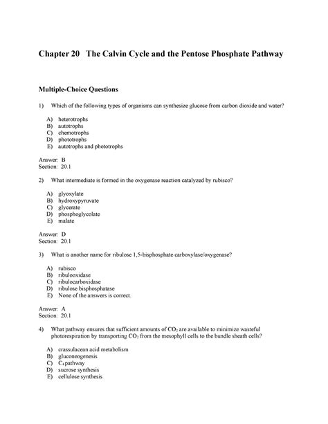 Berg 8e Testbank Chapter 20 Multiple Choice Questions Which Of The