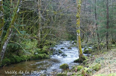 Cr Ations Des Copines Nature