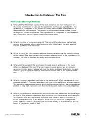 Skin Pre Lab Docx Introduction To Histology The Skin Pre Laboratory