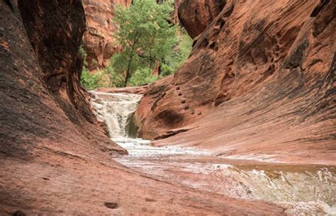 The Red Cliffs Nature Trail In St George Begins In The Recreation Area