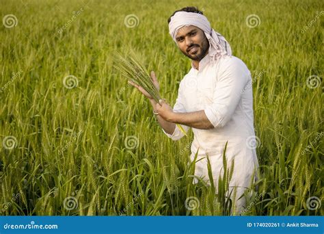 Happy Indian Farmer Talking On Phone In Wheat Field Stock Image Image