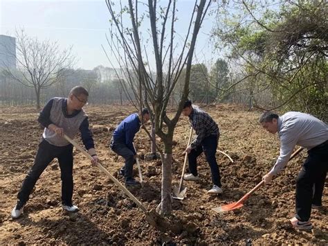 协会党支部开展“义务植树添新绿 履‘植尽责践初心”主题党日活动 合肥市花卉苗木协会