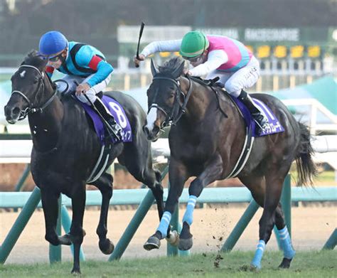 ドバイワールドc5着のドゥラエレーデ 武豊騎手との新コンビで8・4札幌・エルムsへ 競馬 日刊スポーツ