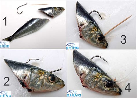 The Best Bass Lures Of 2023 Artofit