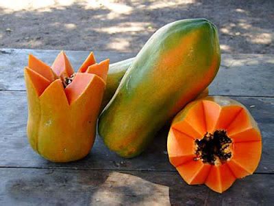 TU SALUD La Papaya Y Sus Propiedades