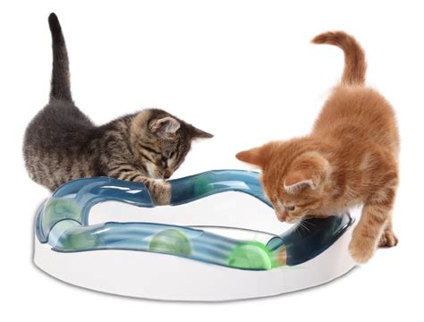 The 7 Best Battery-Operated Toys to Keep Your Cat Active – iHeartCats ...