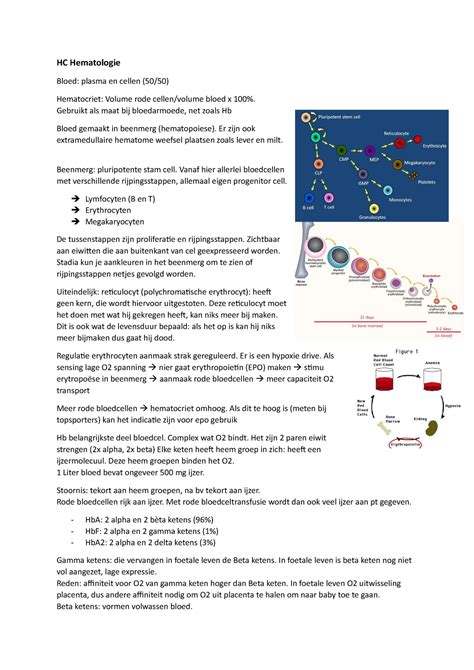 College Aantekeningen Hematologie HC Hematologie Bloed Plasma En