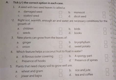 Answer These Questions Then I Will Mark You As Branliest Brainly In