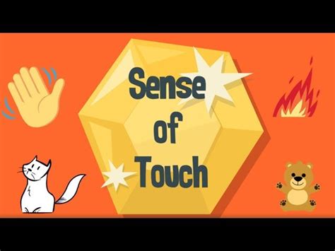 Sense Of Touch English Esl Video Lessons