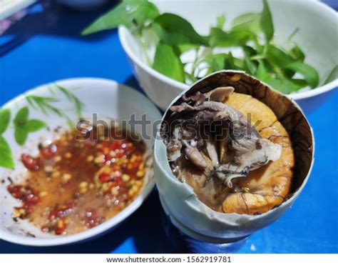 16 Hot Vit Lon Images Stock Photos Vectors Shutterstock