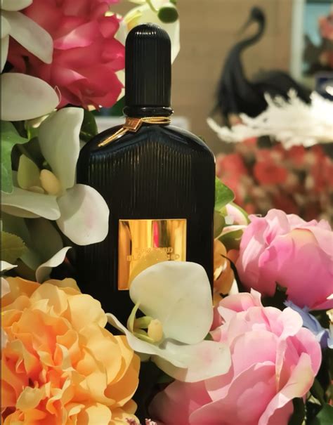 Black Orchid Tom Ford аромат — аромат для женщин 2006