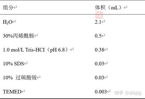 Western Blot 超全攻略—步骤详解与经验交流（一） 知乎