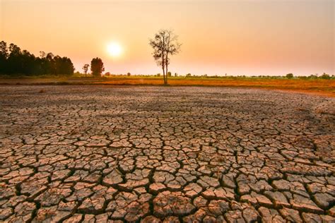 Torna El Nino Rischio Caldo Record IL MONDO