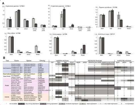 TM8 expression profiles. a Relative expression of TM8 in Cryptomeria ...