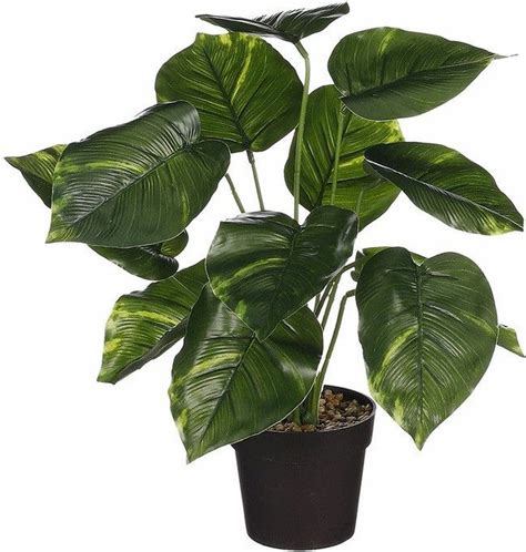 Mica Decoration Kunstplant Philodendron Groen H40 En D35 Cm Kamer