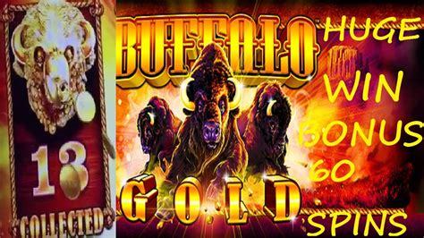 How to win buffalo gold slot machine - olxdev