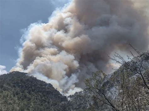 Coahuila Arde Se Registran Cinco Incendios Forestales