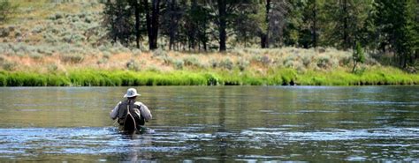 10 Fantastic Fly-Fishing Spots in Wyoming – SVI-NEWS