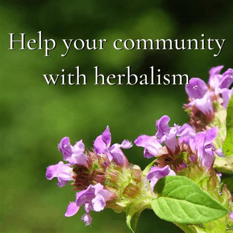 Learn Herbalism Online CommonWealth Holistic Herbalism