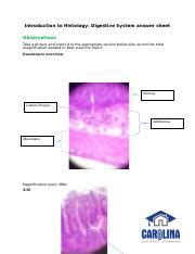 An She Docx Introduction To Histology Digestive System Answer Sheet