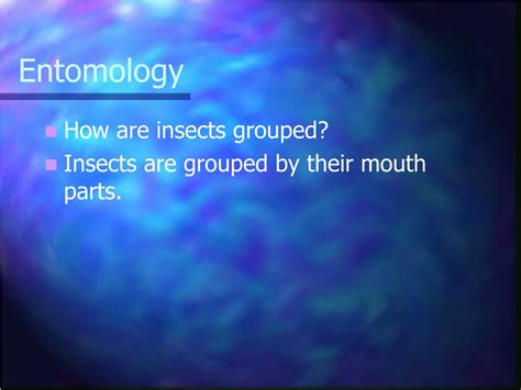 Ppt Entomology Powerpoint Presentation Free Download Id 1492325