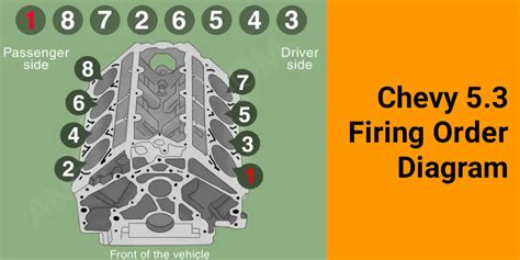 Chevy 53 Firing Order A Detailed Guide With Diagram