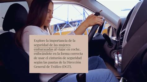 Cintur N De Seguridad Para El Coche En Mujeres Embarazadas Todo Lo Que