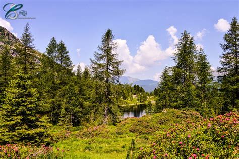 Laghi Colbricon Passo Rolle Dolomites Trentino Italy T Flickr