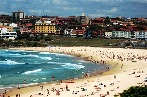 Crowded Bondi Beach Summer View Free Image Download