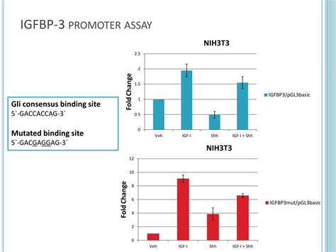 PPT GLI2 And P53 Cooperate To Regulate IGFBP 3 Mediated Chondrocyte