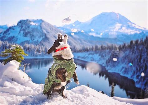 mt baker snoqualmie national forest bothell hiking   bothell