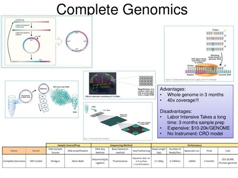 Next Gen Sequencing Ngs Technology Overview