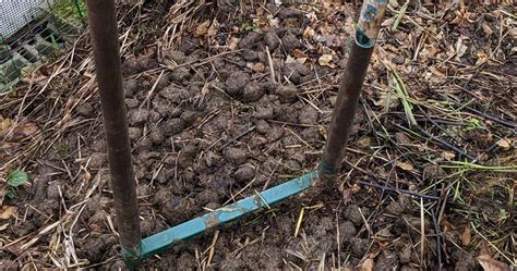 Enrichir Son Potager En Hiver Astuces Pour Une Terre Fertile Et