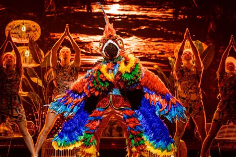 The Masked Singer Kijkers Trekken Conclusie Over Papegaai Na