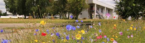 Une biodiversité essentielle à l URN Université de Rouen Normandie