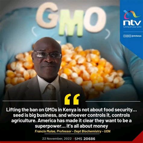 Denis Maina On Twitter Introduction Of Gmos In Kenya By Economic Maguire Will Be The Worst