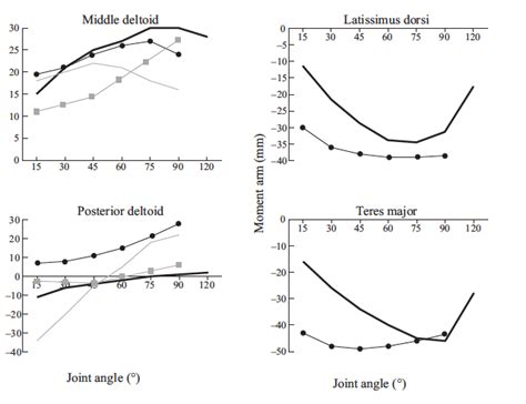 Mejores máquinas para Entrenar Espalda según la ciencia