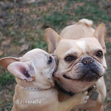 Happy Wednesday Full Of Kisses Photo By Pixerella Tap The Link In Our