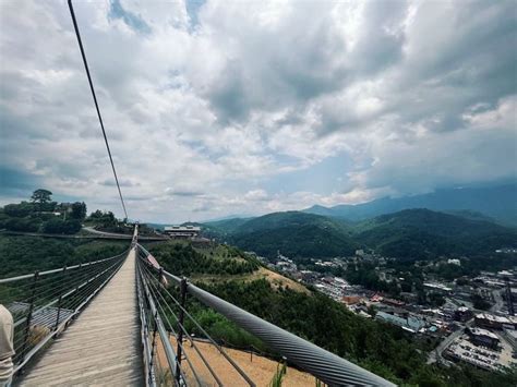 a person standing on top of a wooden bridge next to a lush green ...