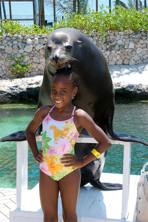 Dolphin Encounters - Nassau - Nassau / Paradise Island, Bahamas