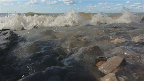 In Hot Water How Climate Change Is Affecting Life In Lake Erie Wgrz