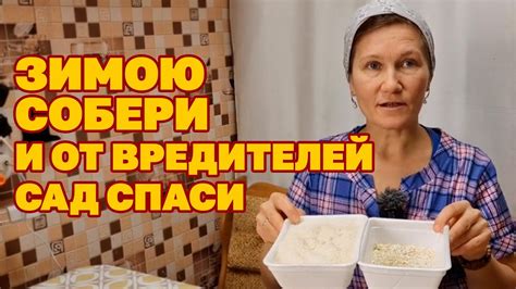 ЗАЩИТА ОТ ТЛИ СЛИЗНЕЙ МУРАВЬЕВ ЛУКОВОЙ МОРКОВНОЙ МУХИ @obovsemsmarusya ...