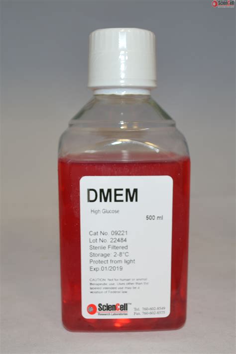 DMEM With High Glucose L Glutamine And Sodium Pyruvate