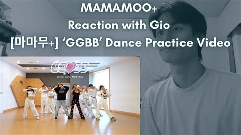 MAMAMOO MAMAMOO Reaction with Gio 마마무 GGBB Dance Practice Video